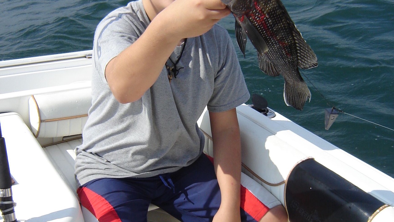 Photo of Others in Hyannis