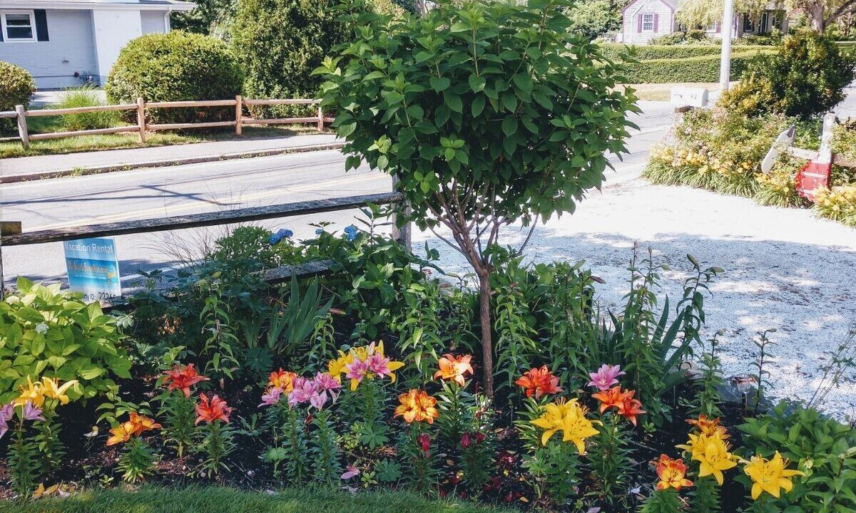 Photo of Outdoor in Hyannis
