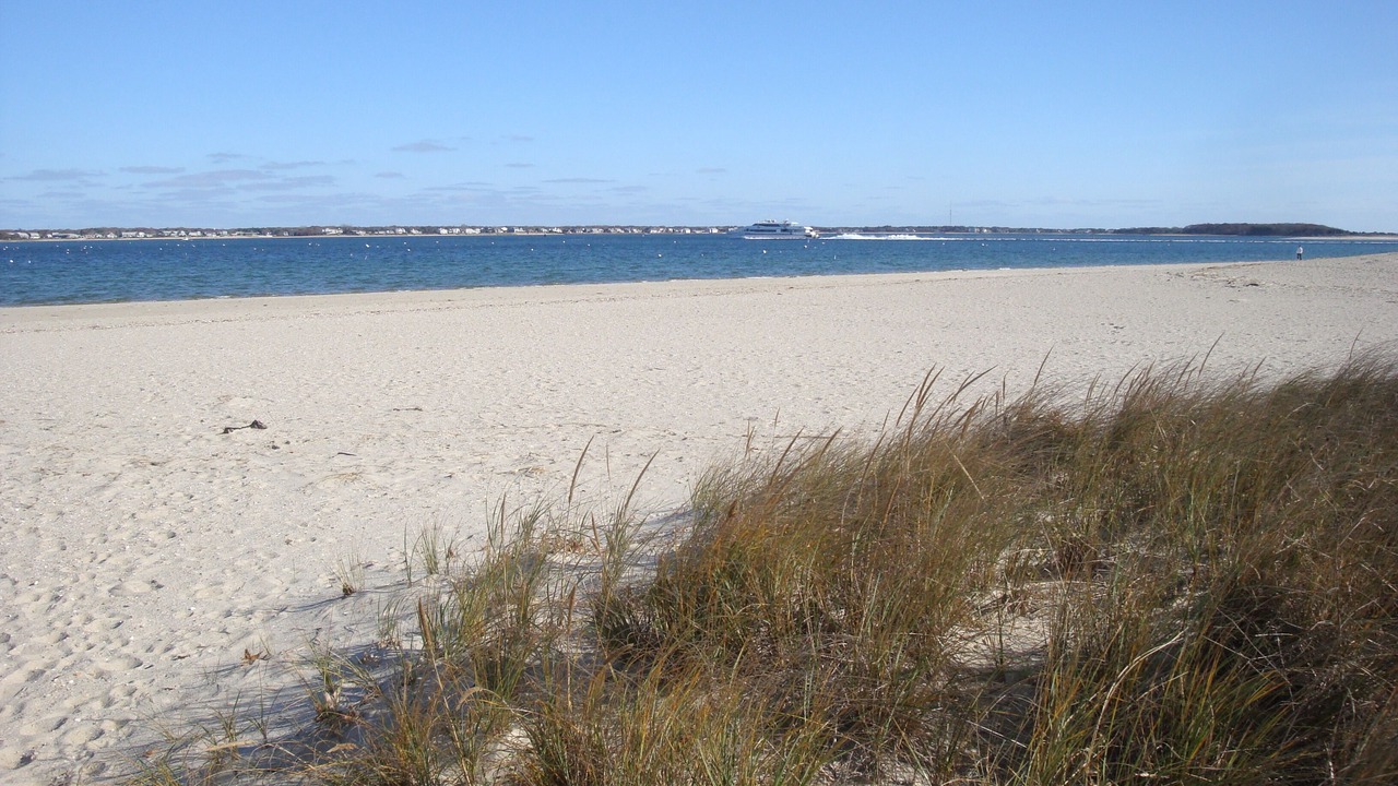 Photo of Others in Hyannis