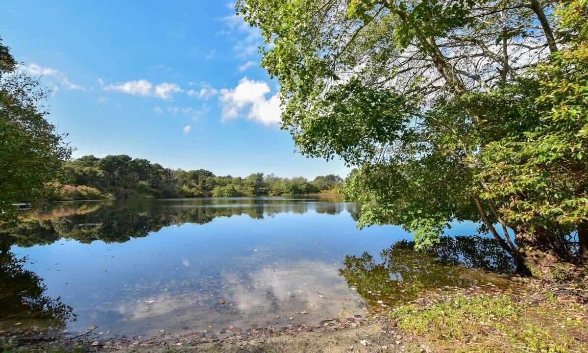 Photo of Outdoor in Eastham