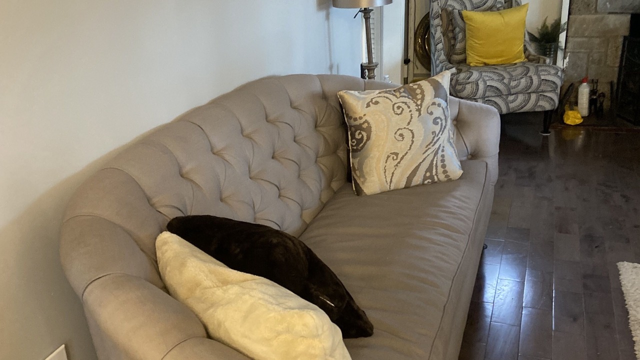 Photo of Livingroom in Bridgeport