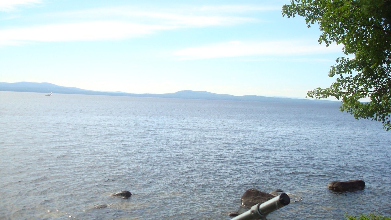 Photo of Others in South Casco