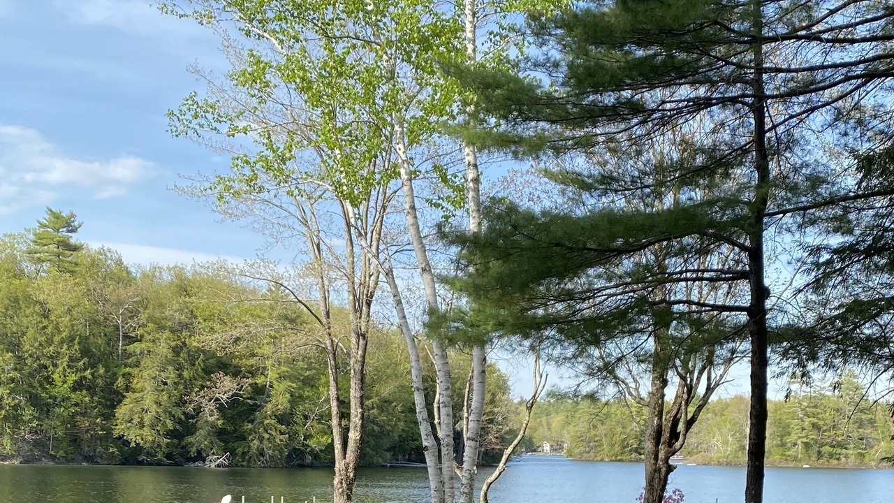Photo of Outdoor in Standish