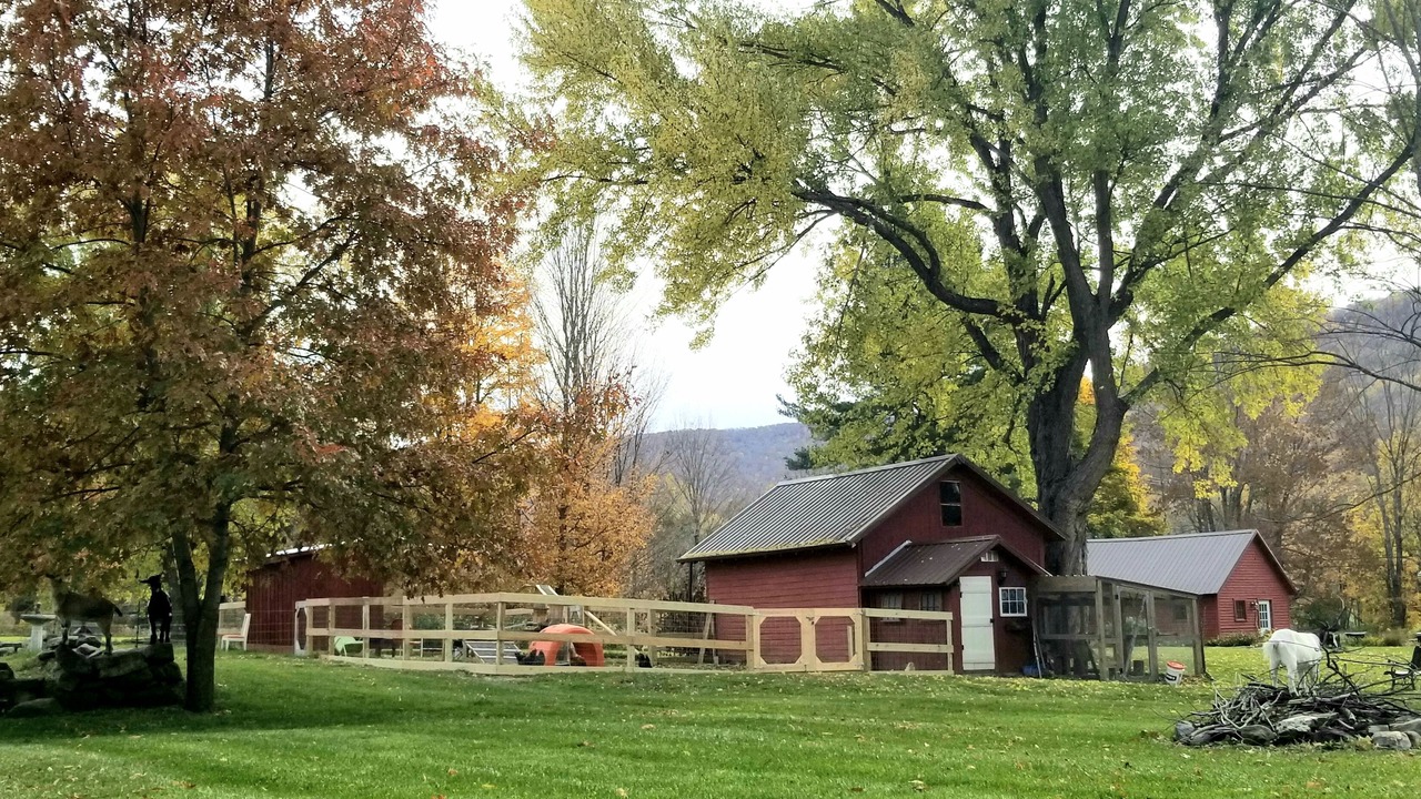 Photo of Outdoor in Brainard