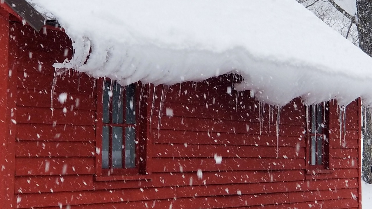 Photo of Outdoor in Brainard