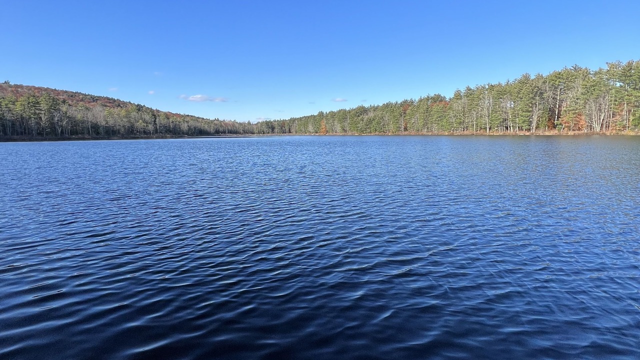 Photo of Others in Sweden