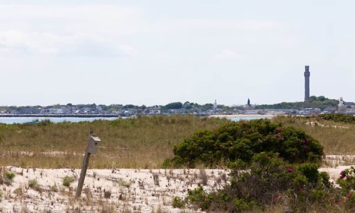 Photo of Outdoor in North Truro
