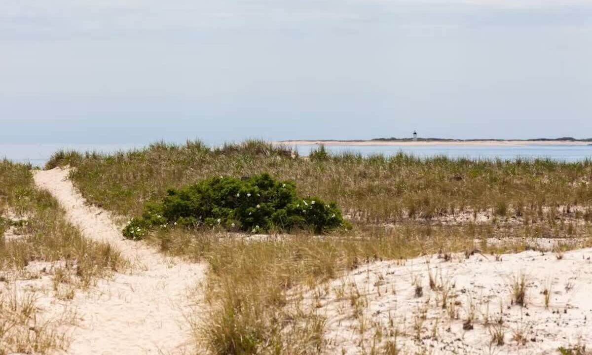 Photo of Others in North Truro