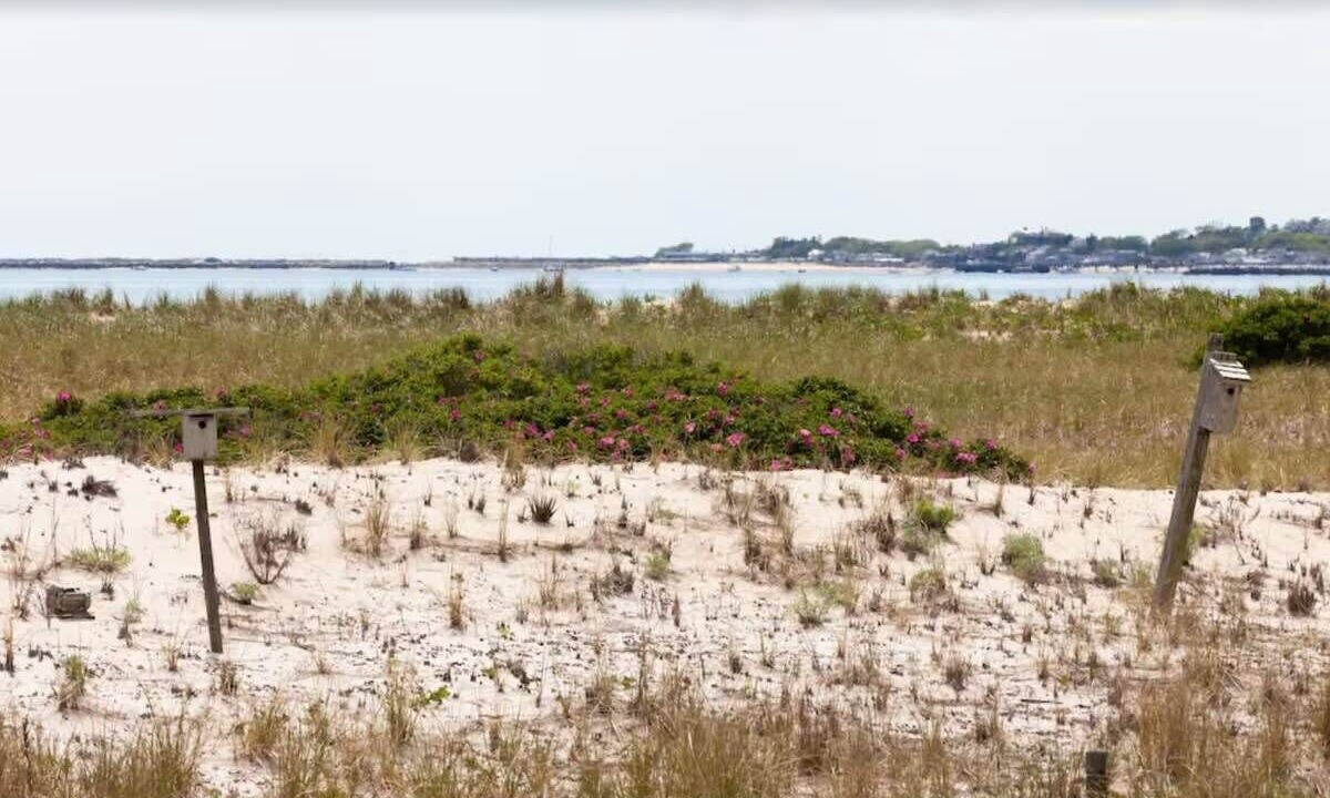 Photo of Others in North Truro