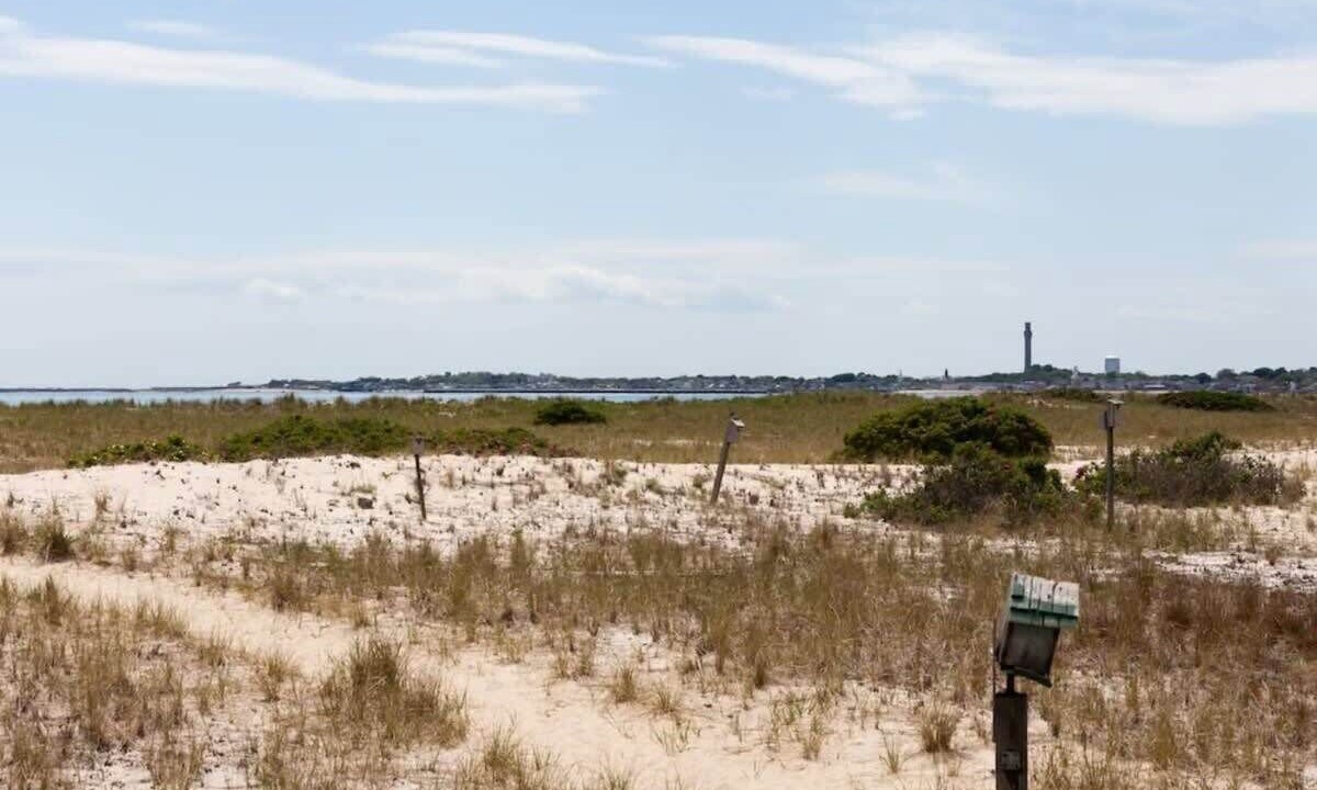 Photo of Others in North Truro