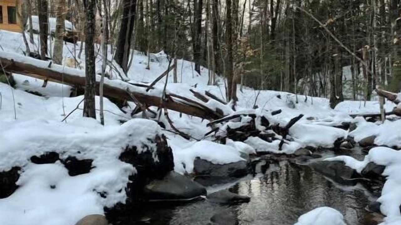 Photo of Outdoor in Ludlow