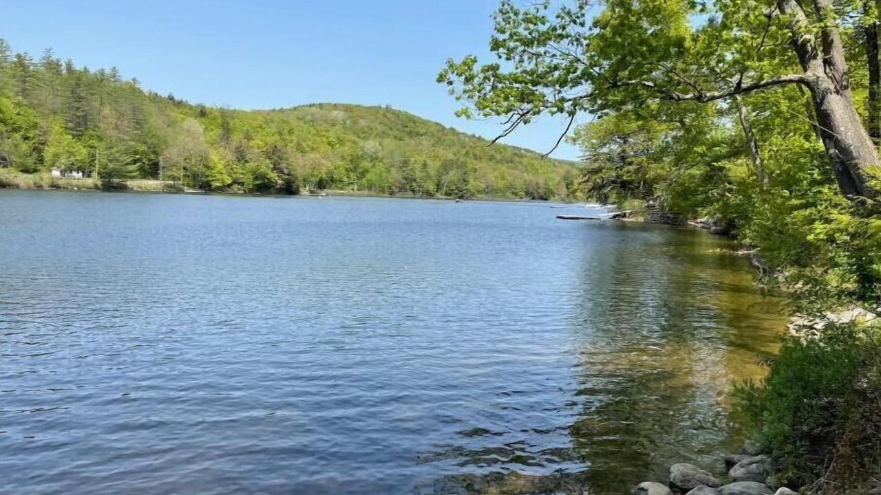 Photo of Outdoor in Ludlow