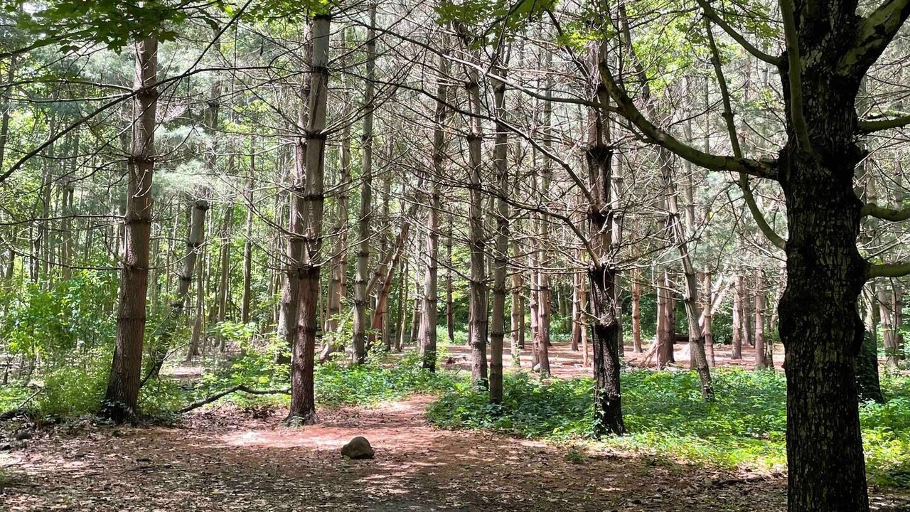 Photo of Outdoor in Jefferson