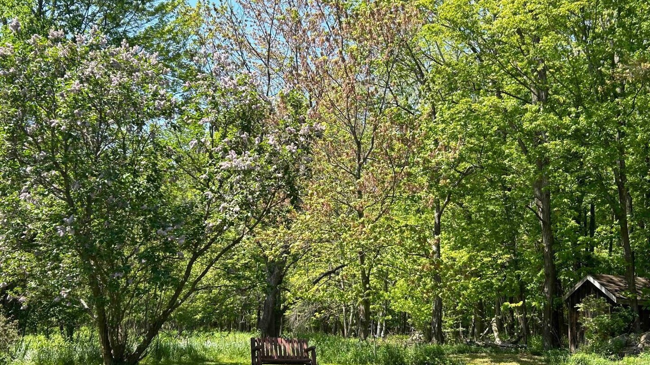 Photo of Outdoor in Jefferson