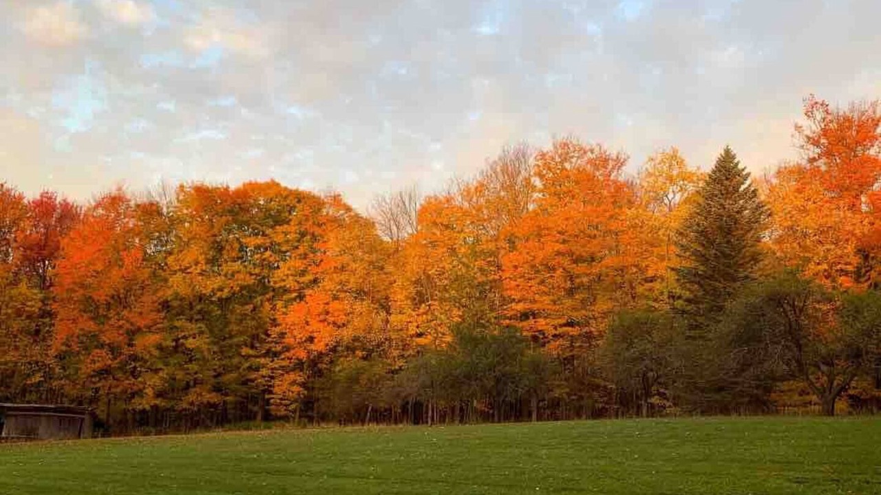 Photo of Others in Jefferson