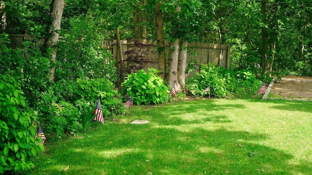 Photo of Outdoor in Edgartown