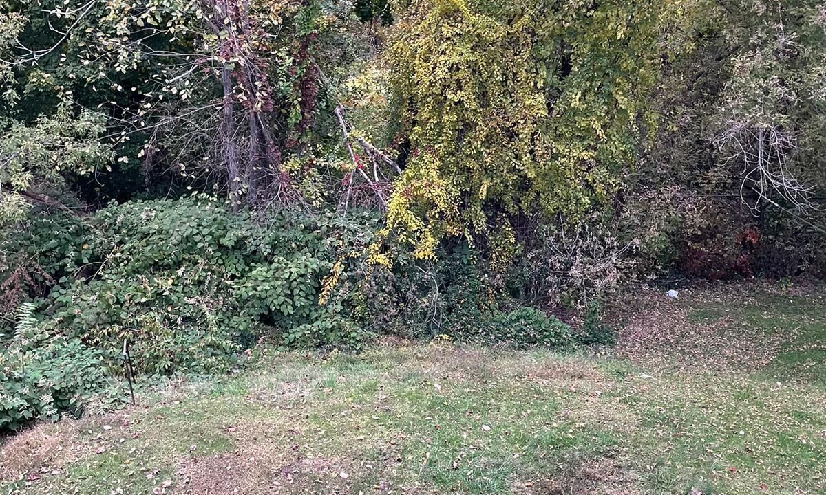 Photo of Outdoor in Meriden