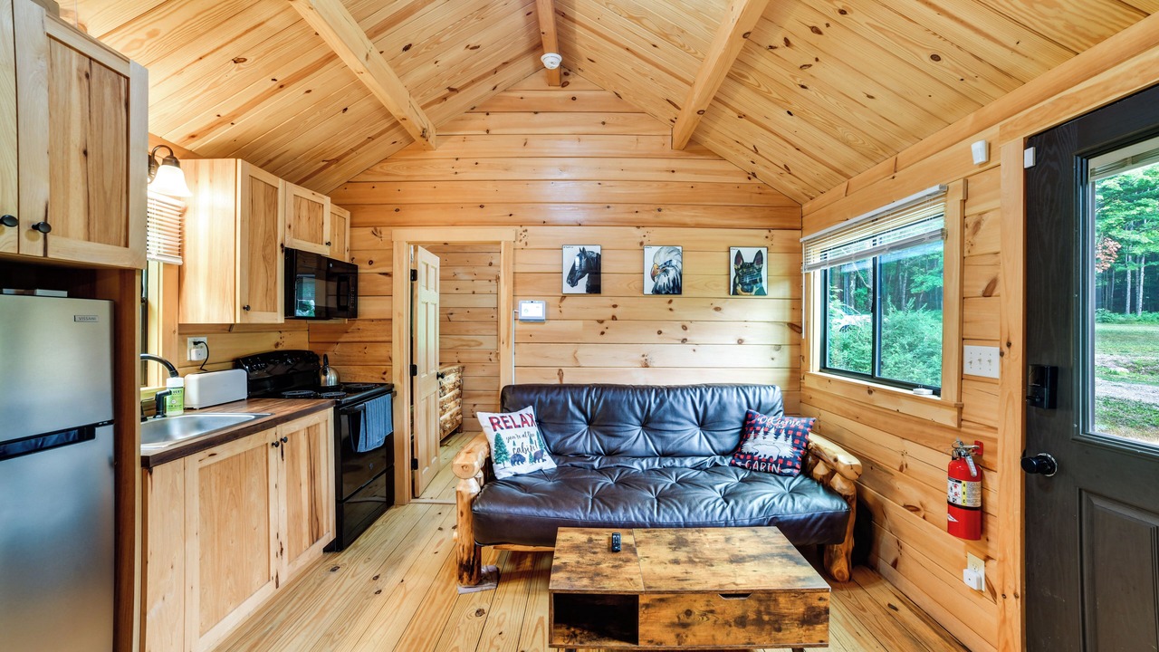 Photo of Livingroom in Sidney Center