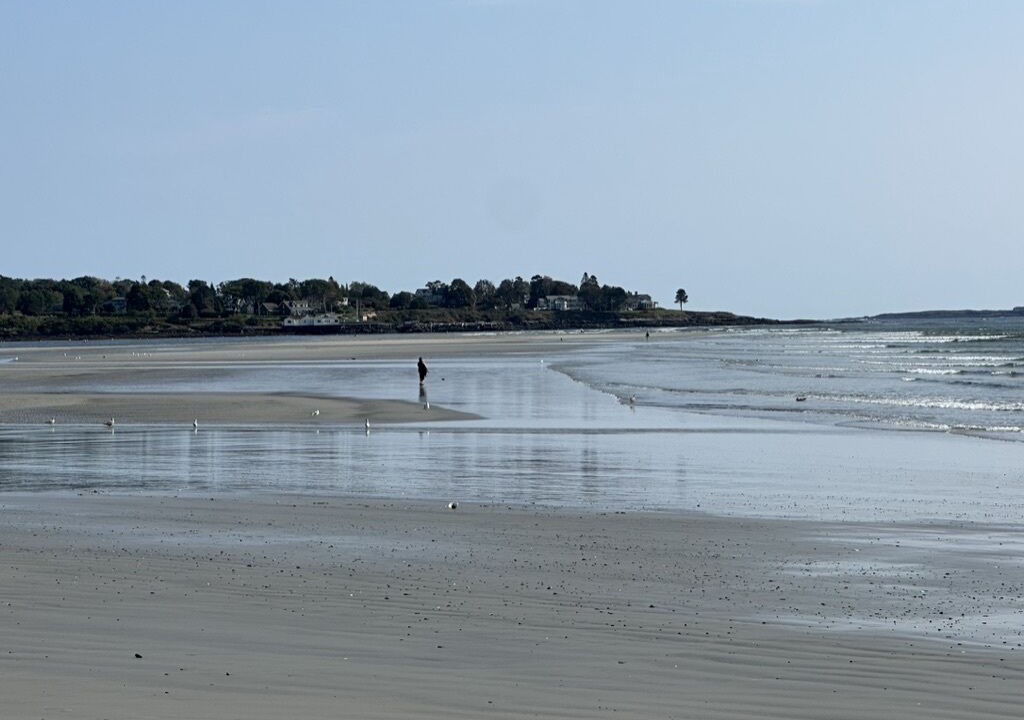 Photo of Others in Pine Point