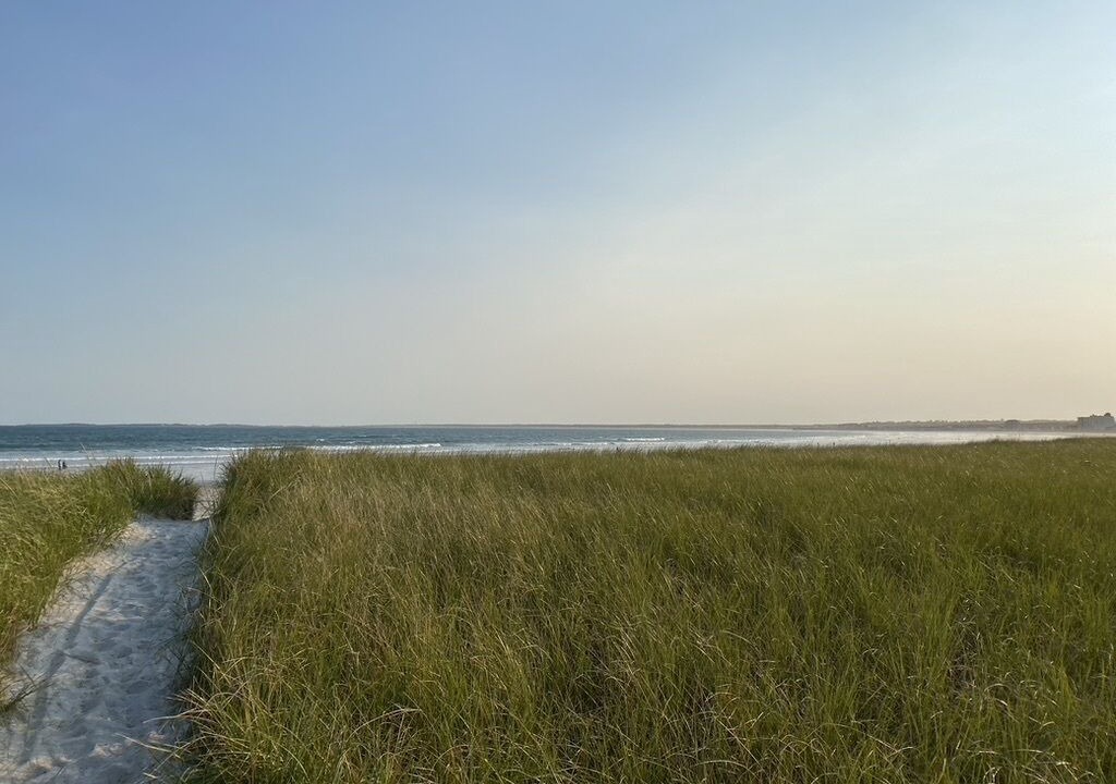 Photo of Others in Pine Point
