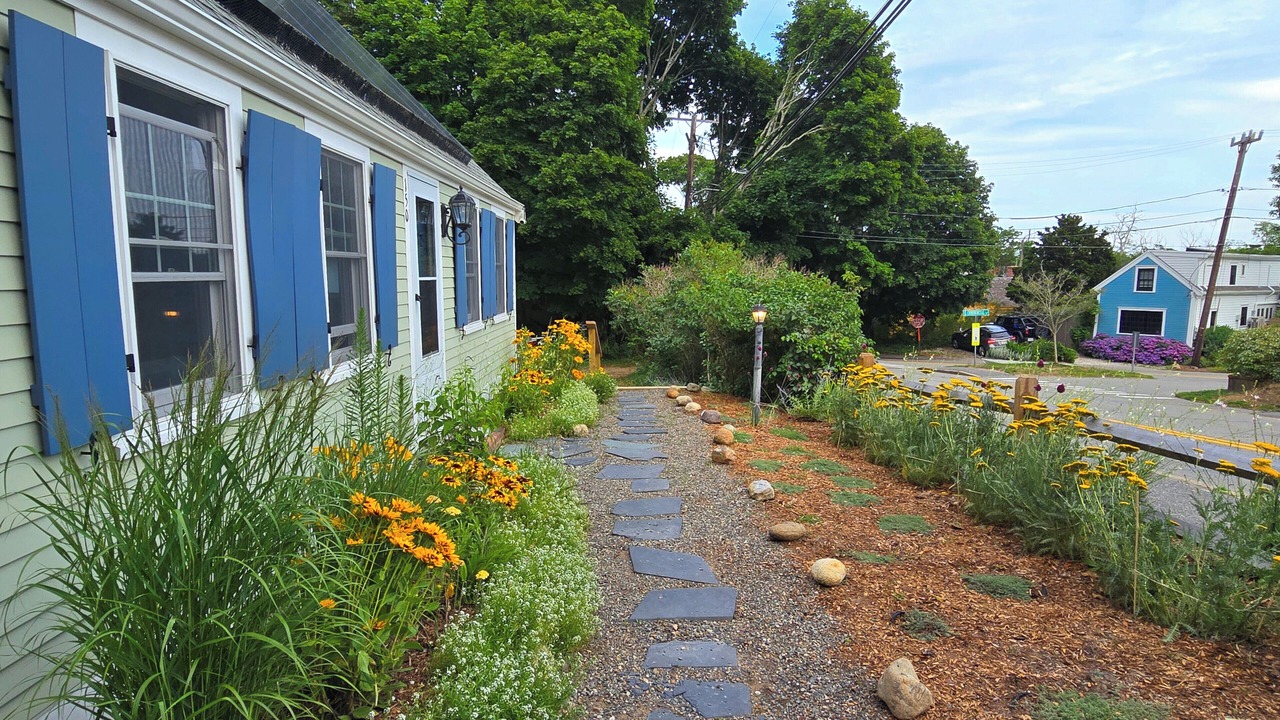 Photo of Others in Wellfleet