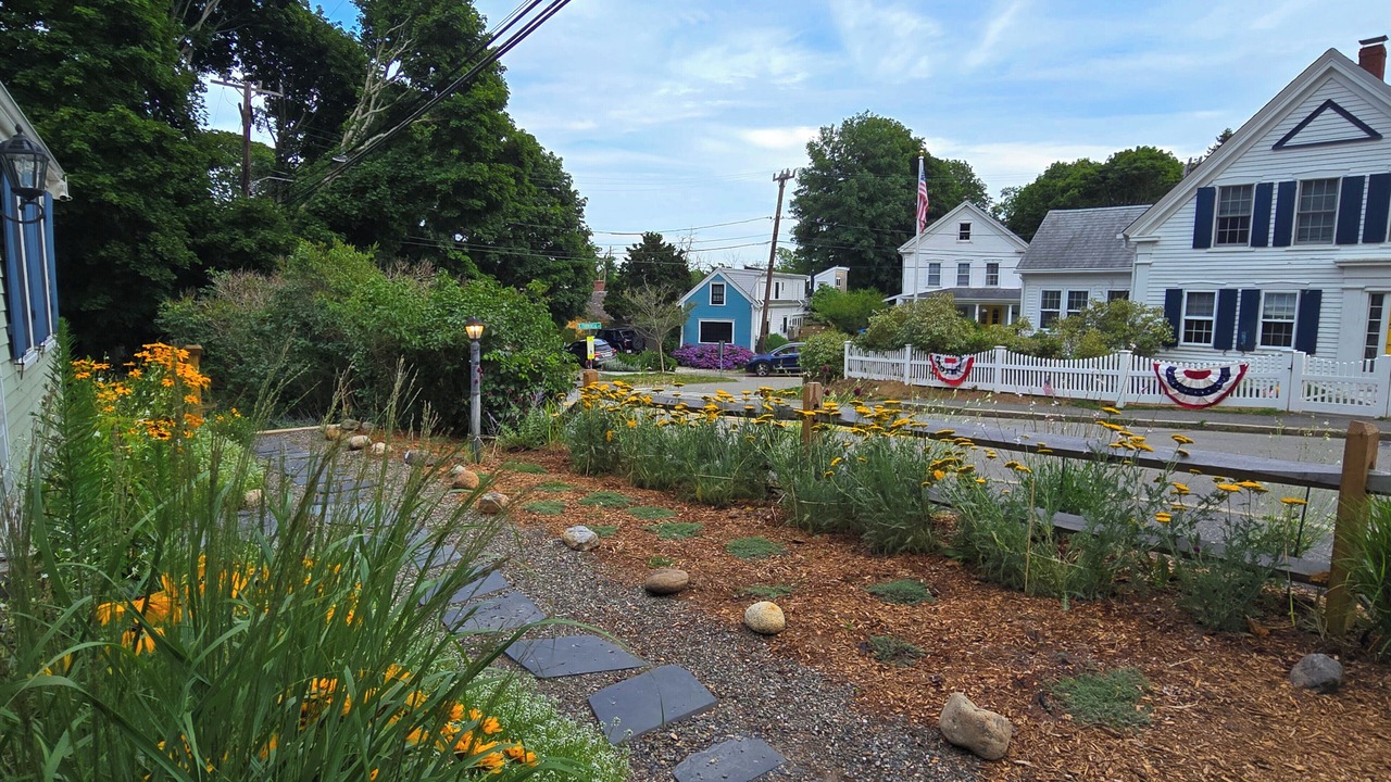 Photo of Others in Wellfleet