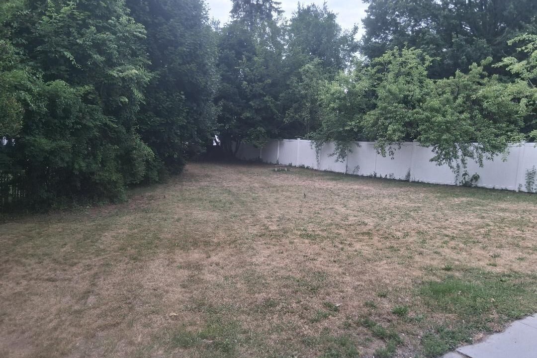 Photo of Outdoor in East Shore