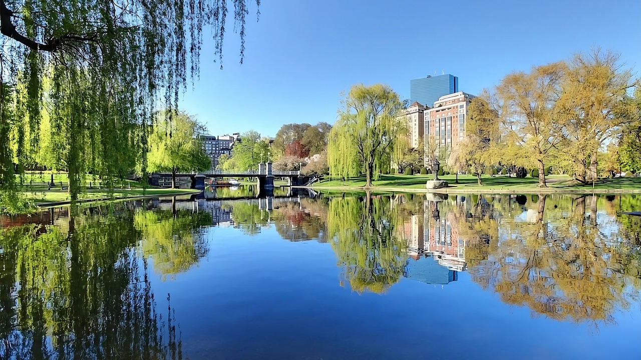 Photo of Outdoor in Back Bay East