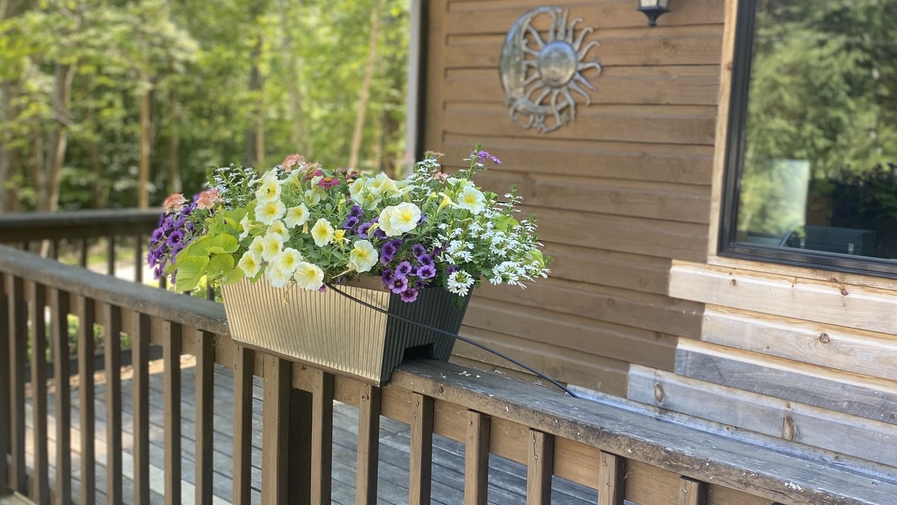 Photo of Outdoor in Moultonborough