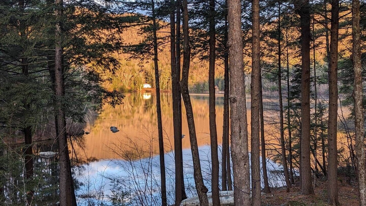 Photo of Others in Woodstock