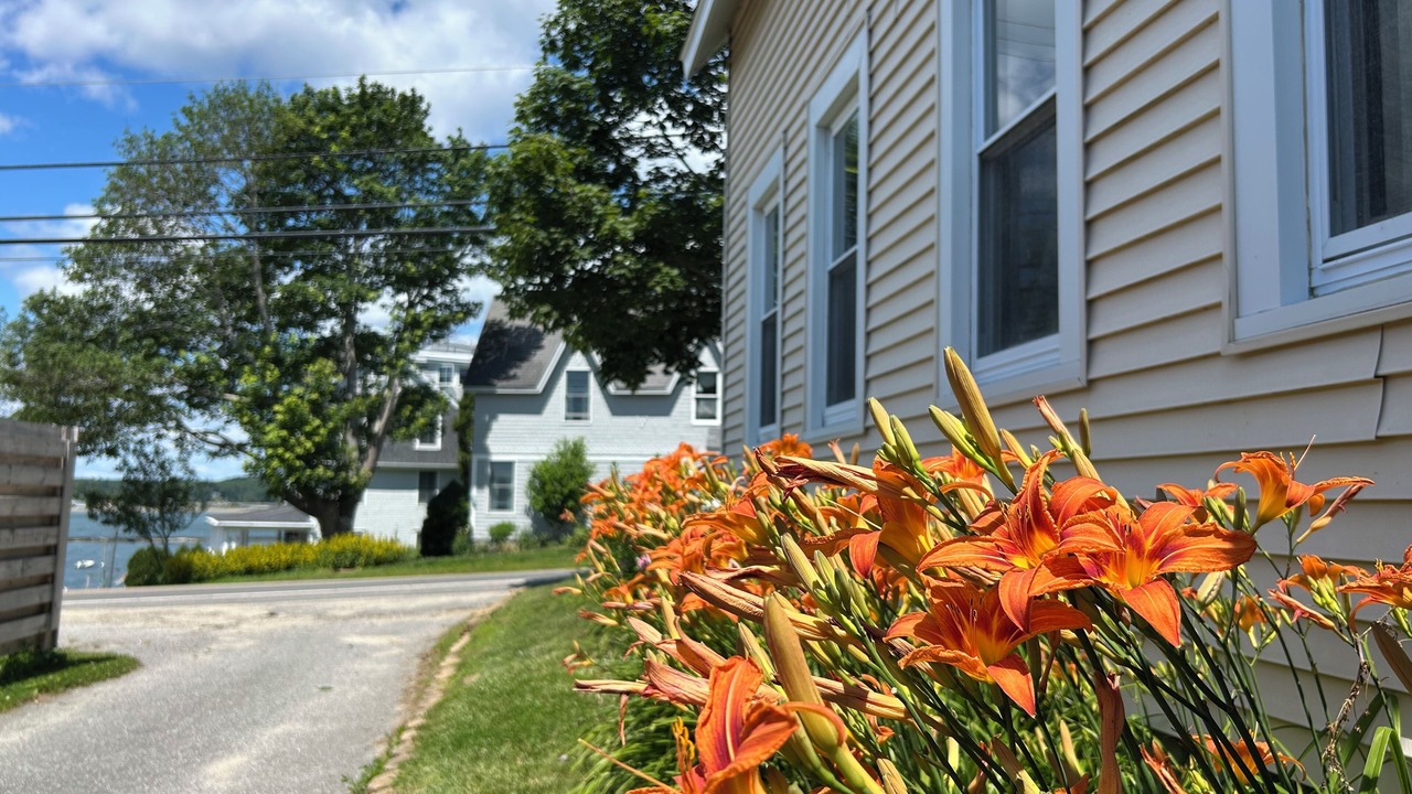 Photo of Outdoor in Mid-Coast and Islands