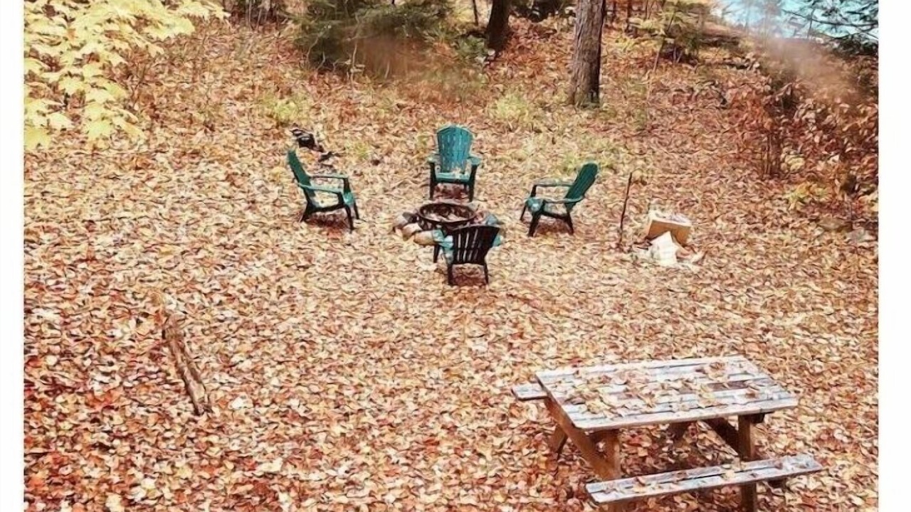 Photo of Outdoor in Denmark