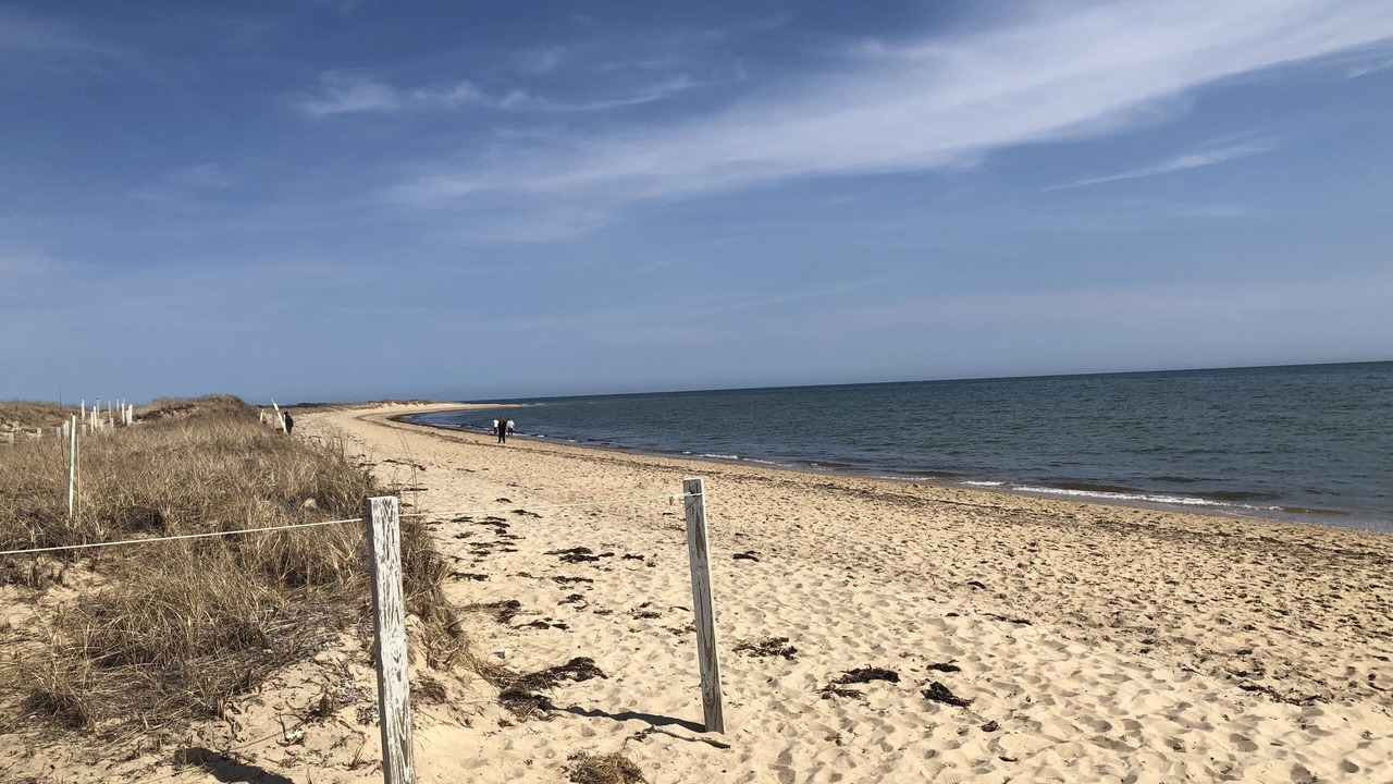 Photo of Others in Mashpee