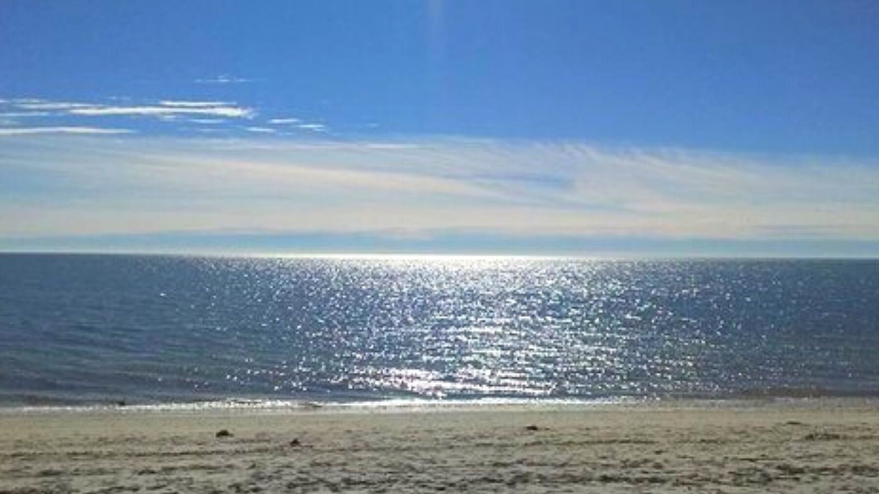 Photo of Others in West Yarmouth