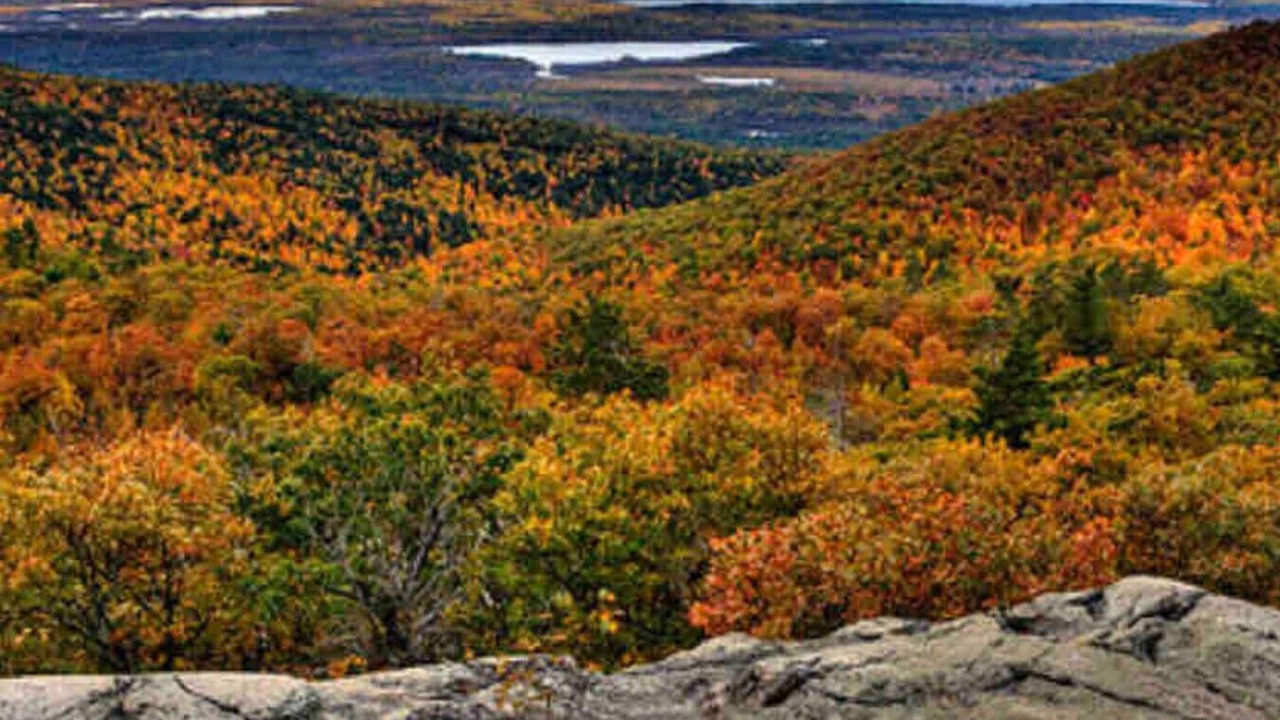Photo of Others in Bridgton