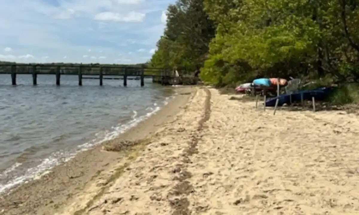 Photo of Others in South Dennis