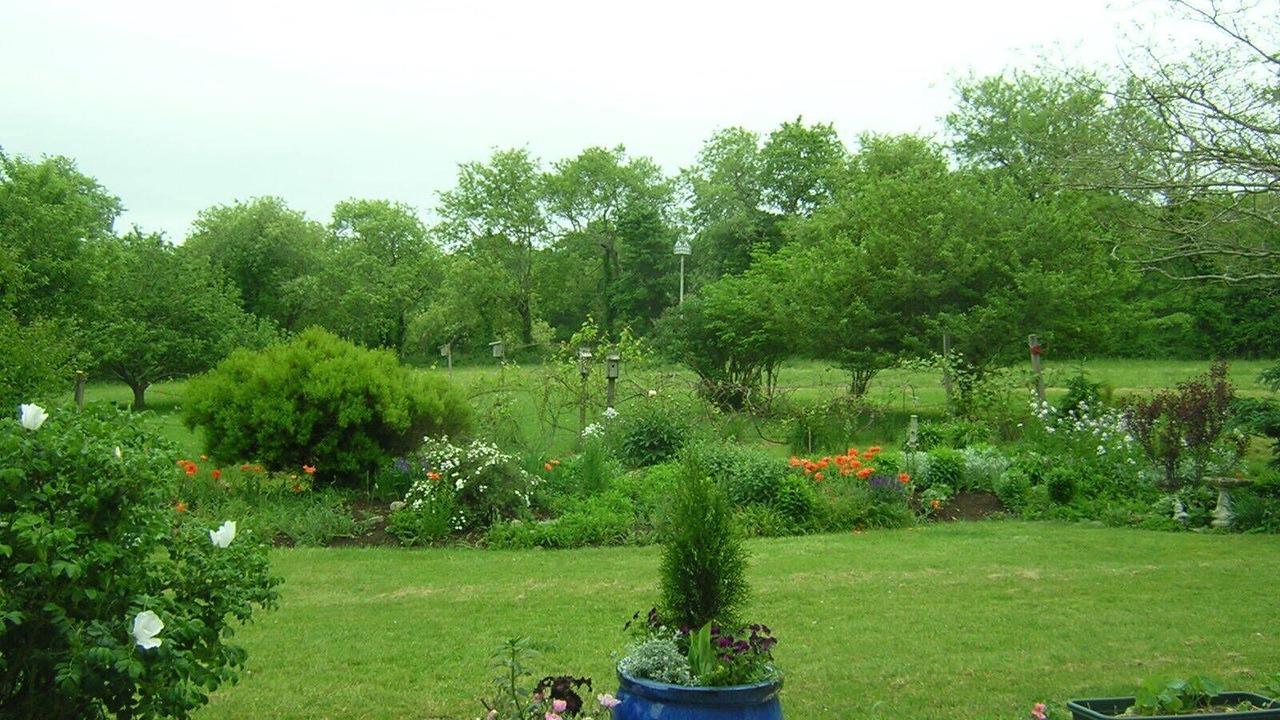 Photo of Outdoor in Adamsville