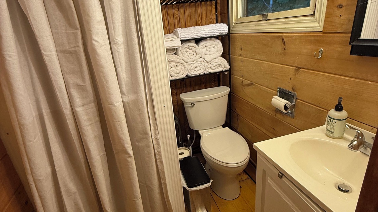 Photo of Bathroom in Bartlett