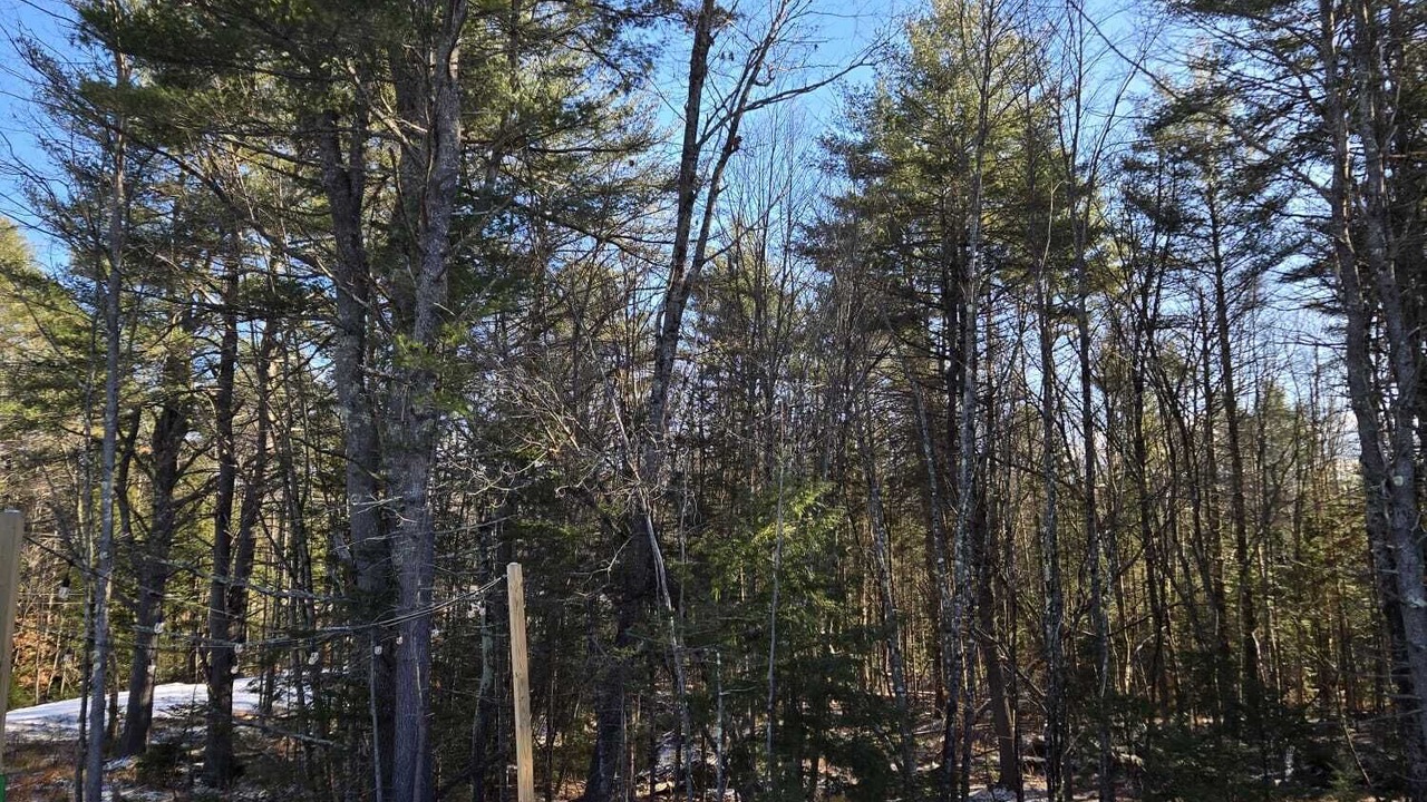 Photo of Outdoor in Harrison