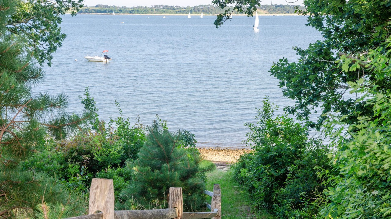 Photo of Others in South Orleans