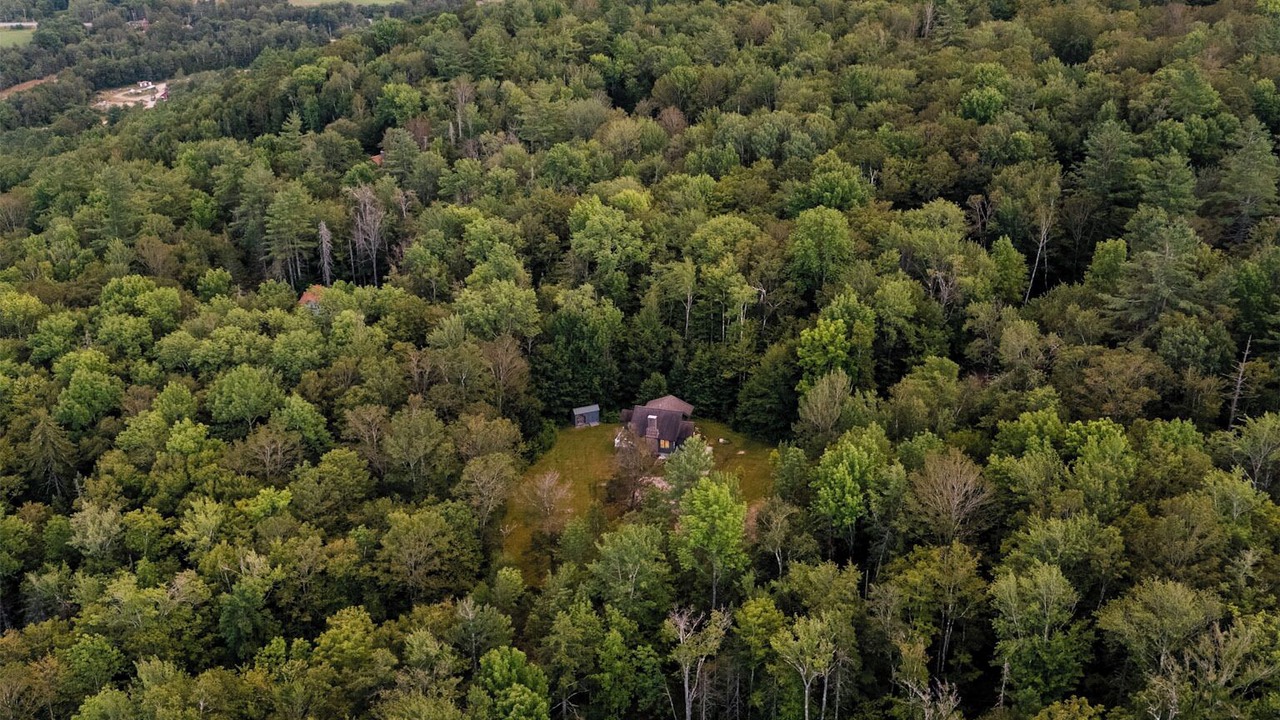 Photo of Outdoor in Weston