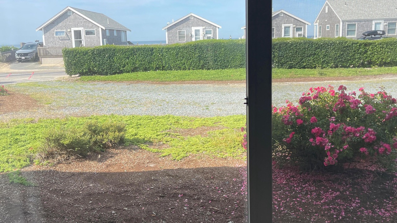 Photo of Others in North Truro