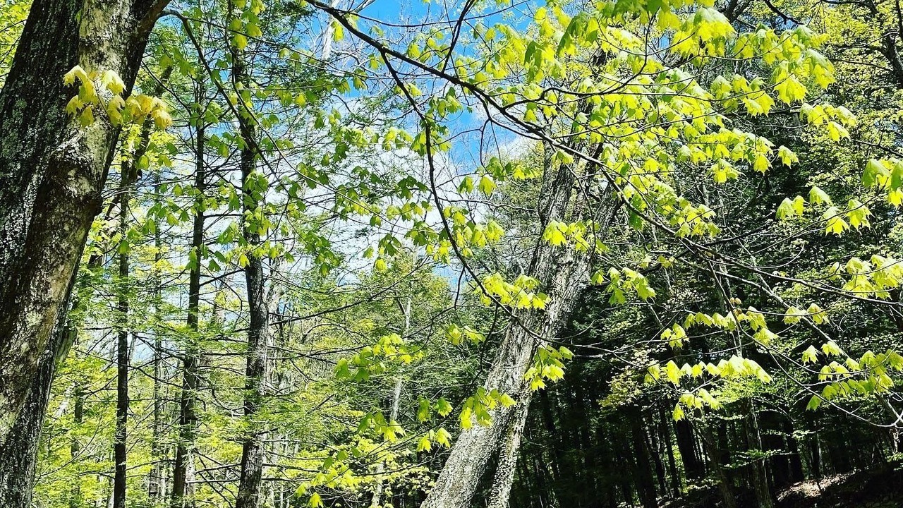 Photo of Others in Mount Marion