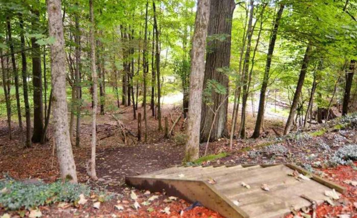 Photo of Outdoor in Mount Marion