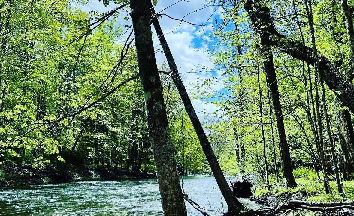 Photo of Others in Mount Marion