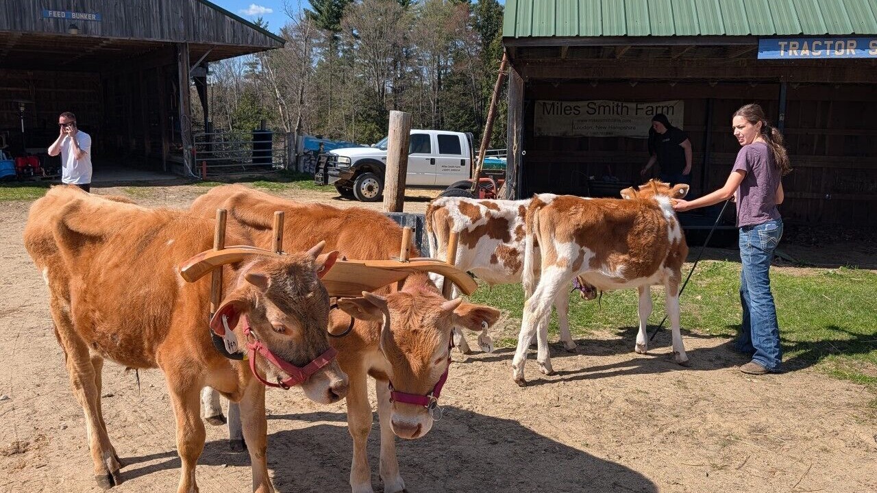 Photo of Others in Loudon
