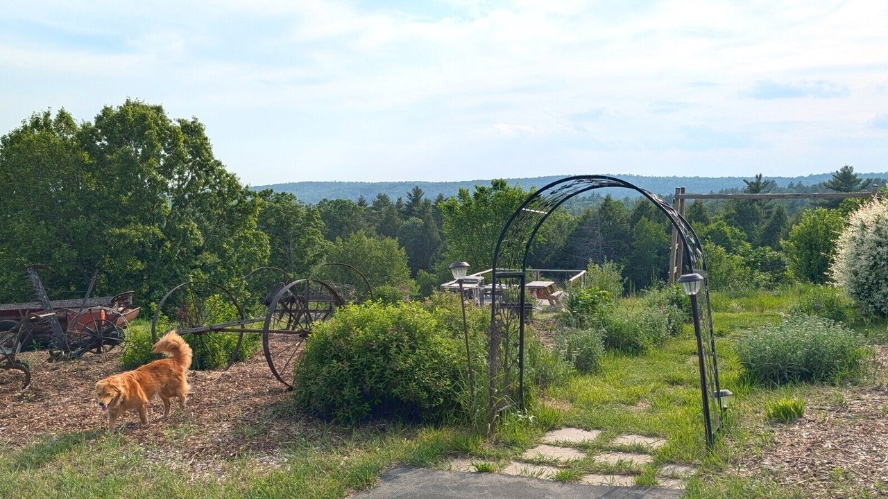 Photo of Outdoor in Loudon