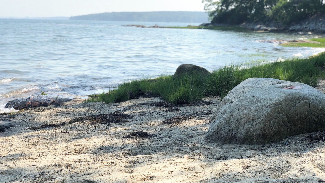 Photo of Others in Yarmouth