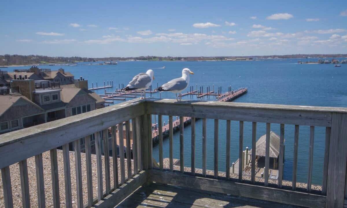 Photo of Outdoor in Yachting Village
