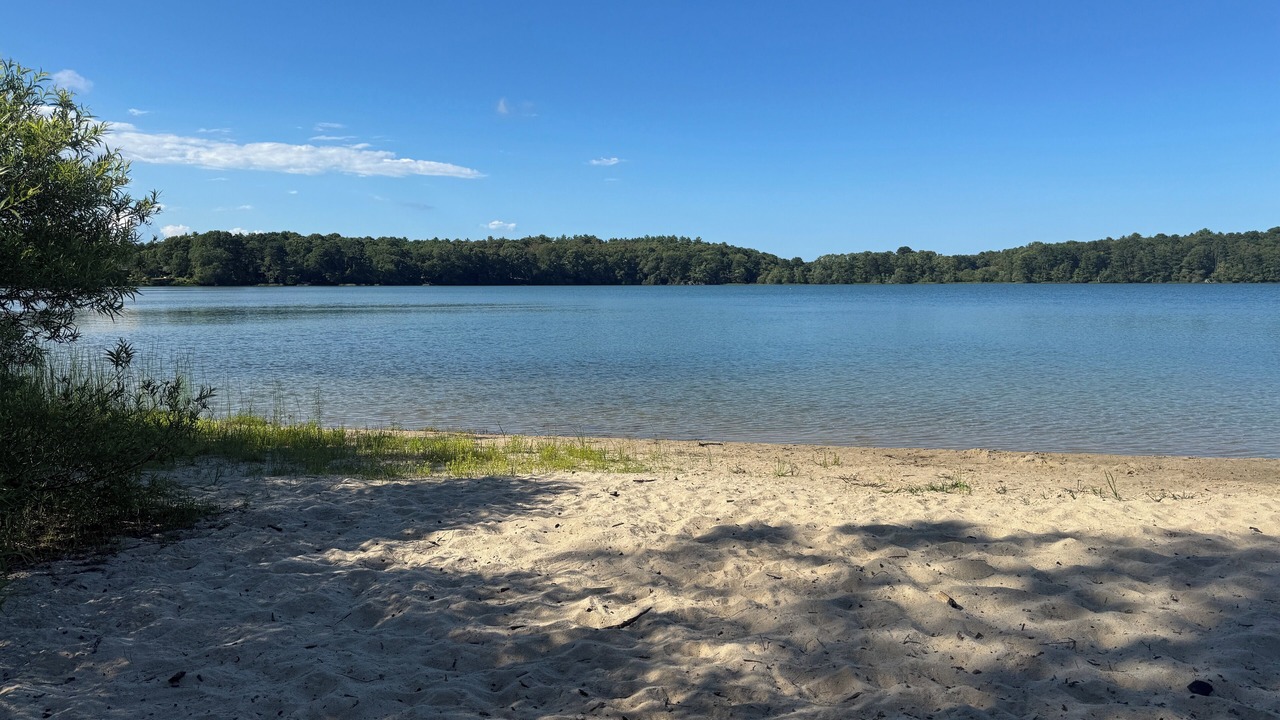 Photo of Others in Cotuit